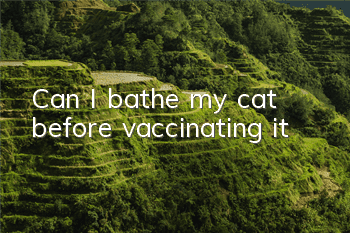 Can I bathe my cat before vaccinating it?