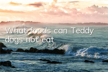 What foods can Teddy dogs not eat?