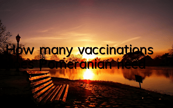 THow many vaccinations does Pomeranian need?