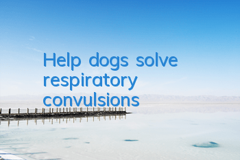Help dogs solve respiratory convulsions