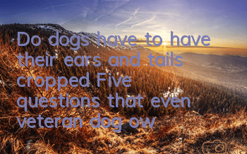 TDo dogs have to have their ears and tails cropped? Five questions that even veteran dog owners may not know