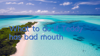 TWhat to do if Teddy has bad mouth