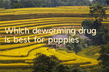 TWhich deworming drug is best for puppies?