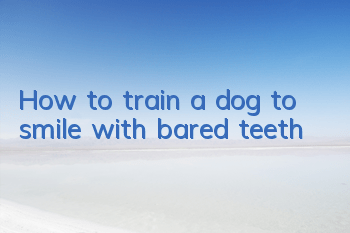 THow to train a dog to smile with bared teeth