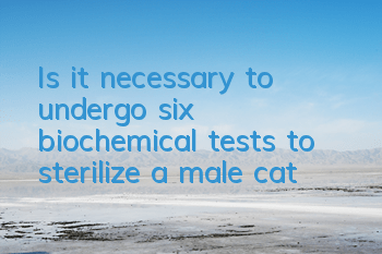 Is it necessary to undergo six biochemical tests to sterilize a male cat?