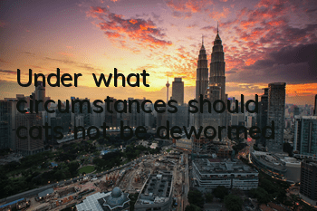 Under what circumstances should cats not be dewormed?