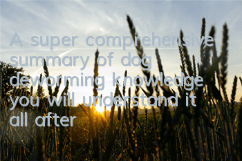 A super comprehensive summary of dog deworming knowledge, you will understand it all after reading this article!