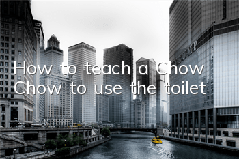 THow to teach a Chow Chow to use the toilet