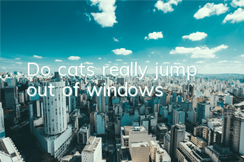 TDo cats really jump out of windows?