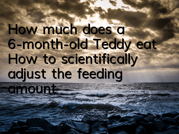 How much does a 6-month-old Teddy eat? How to scientifically adjust the feeding amount?