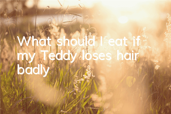 What should I eat if my Teddy loses hair badly?