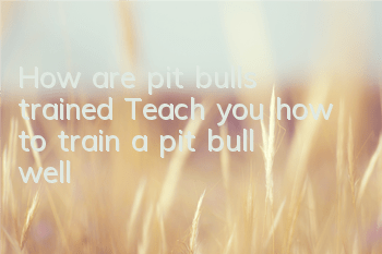 THow are pit bulls trained? Teach you how to train a pit bull well!