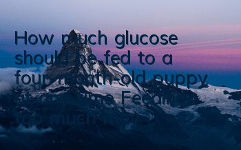 THow much glucose should be fed to a four-month-old puppy at one time? Feeding too much may have side effects
