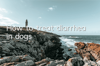 How to treat diarrhea in dogs