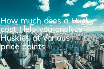 THow much does a Husky cost? Help you analyze Huskies at various price points
