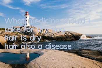 TWhat medicine should I take for dry dog ​​hair? Is dry hair also a disease?
