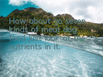 How about go seven kinds of meat dog food? Just look at the nutrients in it.