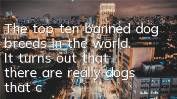 TThe top ten banned dog breeds in the world. It turns out that there are really dogs that can eat people!