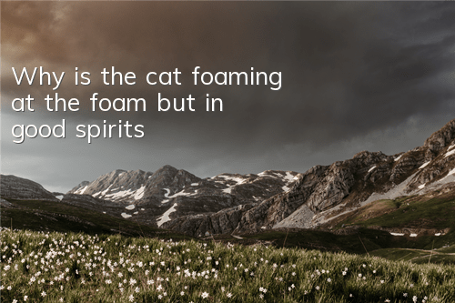 TWhy is the cat foaming at the foam but in good spirits?