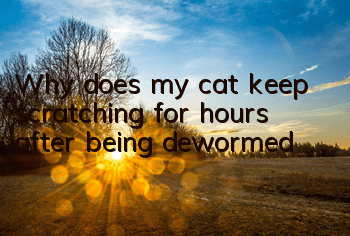 TWhy does my cat keep scratching for hours after being dewormed?