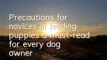 TPrecautions for novices in feeding puppies, a must-read for every dog ​​owner!