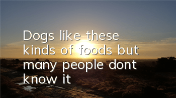 TDogs “like” these kinds of foods, but many people don’t know it!