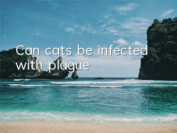 TCan cats be infected with plague?