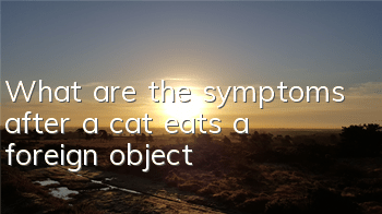 TWhat are the symptoms after a cat eats a foreign object?