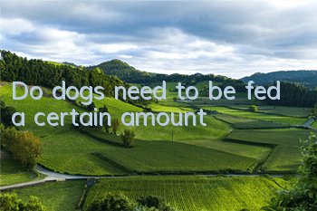 TDo dogs need to be fed a certain amount?