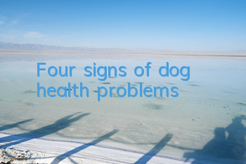 Four signs of dog health problems