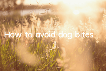 How to avoid dog bites