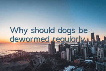 TWhy should dogs be dewormed regularly?