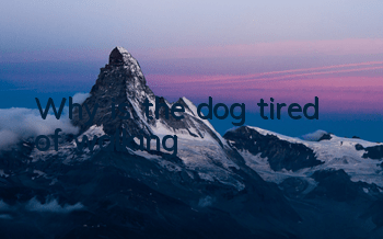 TWhy is the dog tired of walking?
