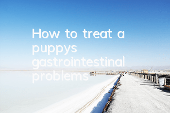 THow to treat a puppy’s gastrointestinal problems