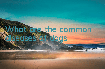 TWhat are the common diseases of dogs?