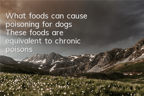 TWhat foods can cause poisoning for dogs? These foods are equivalent to chronic poisons!