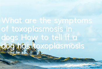 What are the symptoms of toxoplasmosis in dogs? How to tell if a dog has toxoplasmosis?