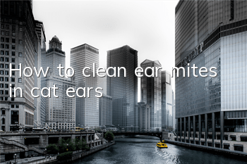 How to clean ear mites in cat ears