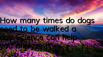 How many times do dogs need to be walked a day? Science can help you analyze it!