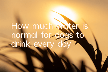 THow much water is normal for dogs to drink every day?
