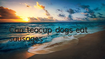 TCan teacup dogs eat sausages?