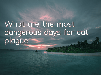 TWhat are the most dangerous days for cat plague?