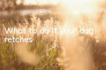 TWhat to do if your dog retches