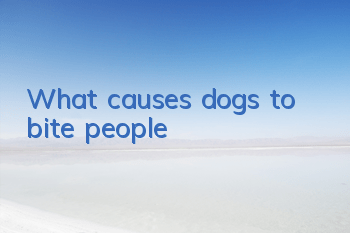 TWhat causes dogs to bite people?