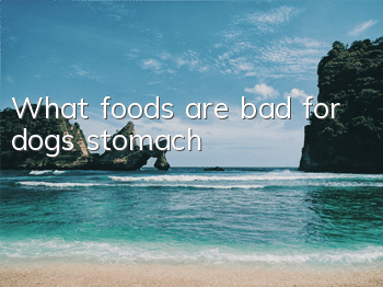 What foods are bad for dogs’ stomach?