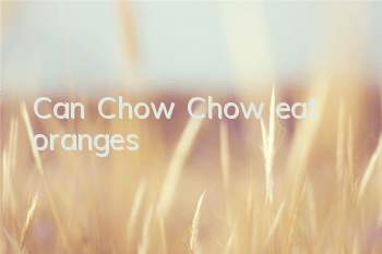 TCan Chow Chow eat oranges?