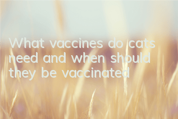 TWhat vaccines do cats need and when should they be vaccinated?