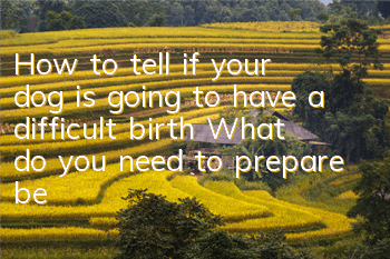 THow to tell if your dog is going to have a difficult birth? What do you need to prepare before delivering your dog?