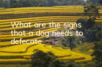What are the signs that a dog needs to defecate?