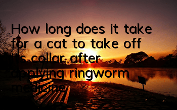 THow long does it take for a cat to take off its collar after applying ringworm medicine?